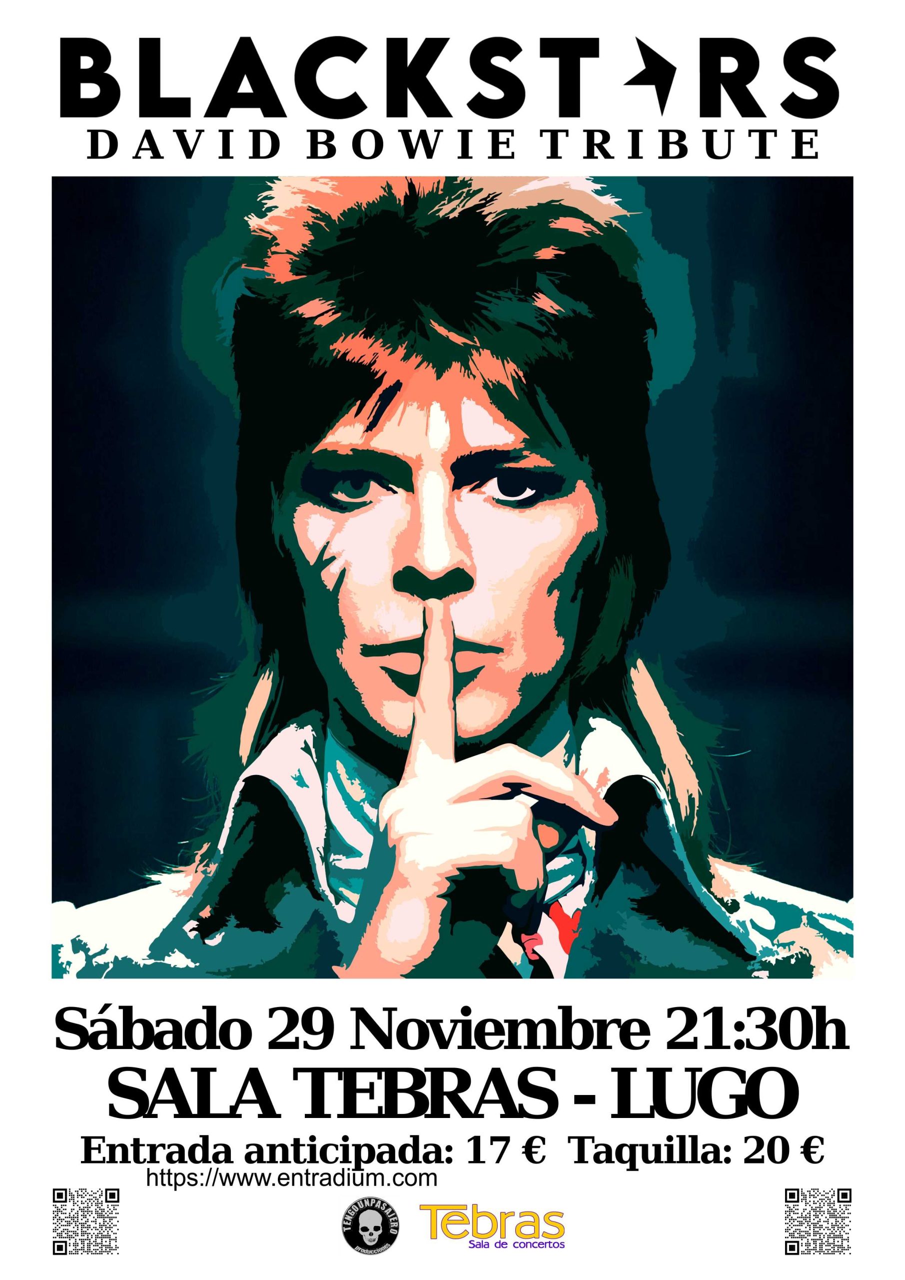 concerto DAVID BOWIE